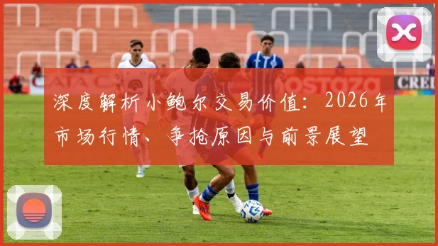 深度解析小鲍尔交易价值：2026年市场行情、争抢原因与前景展望