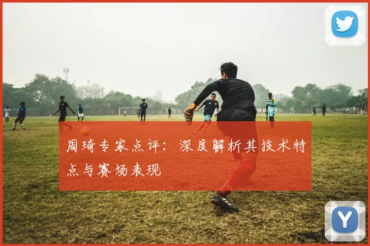 周琦专家点评：深度解析其技术特点与赛场表现
