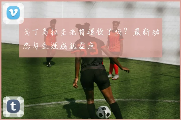 戈丁乌拉圭老将退役了吗？最新动态与生涯成就盘点